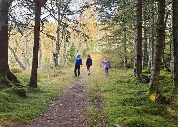 Apartament Irenegarden - Panorama Lauvstad